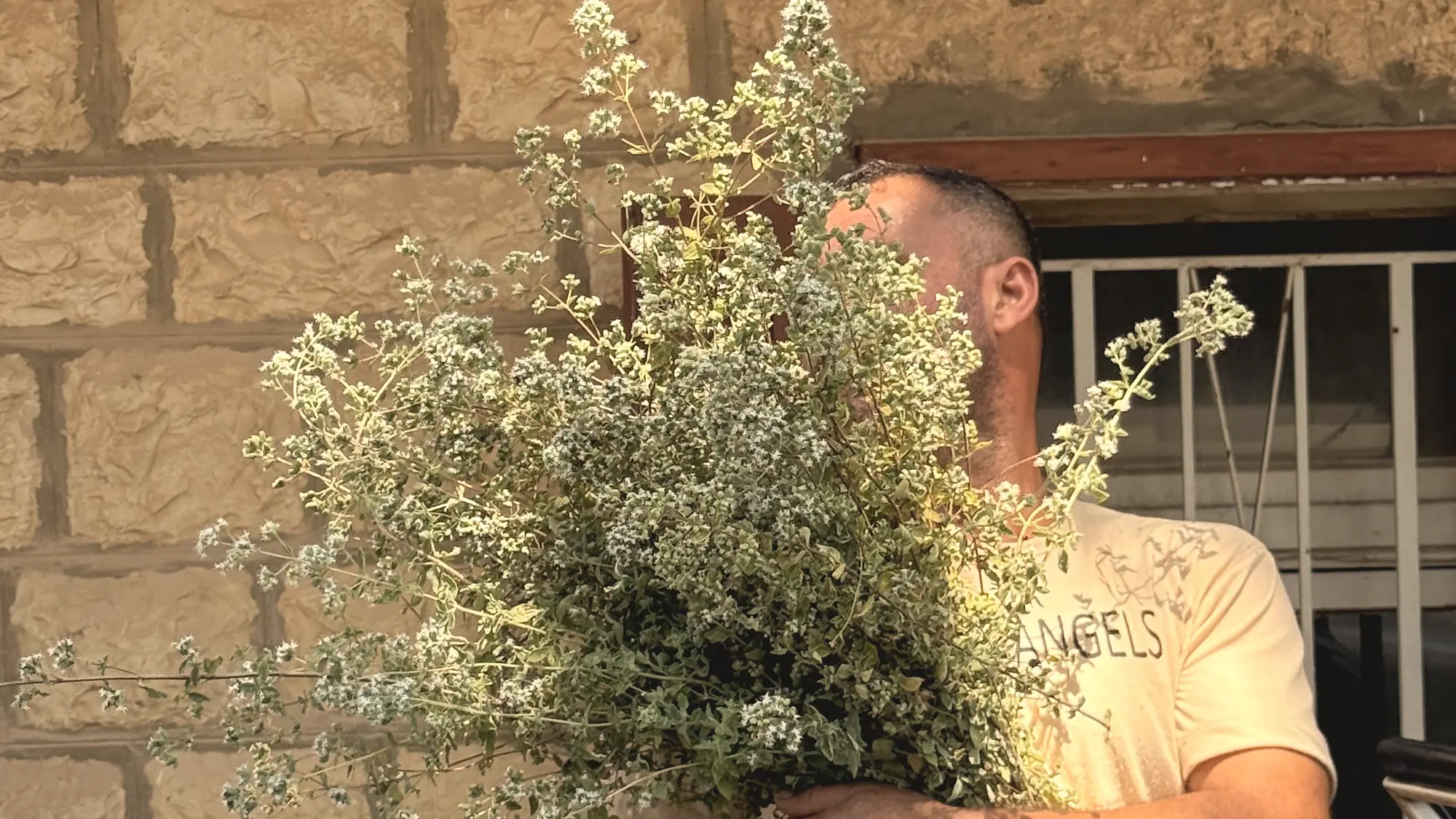 Le producteur tenant une brassée de zaatar fraîchement cueilli, devant une maison en pierre libanaise